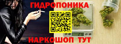 шишки Гагарин