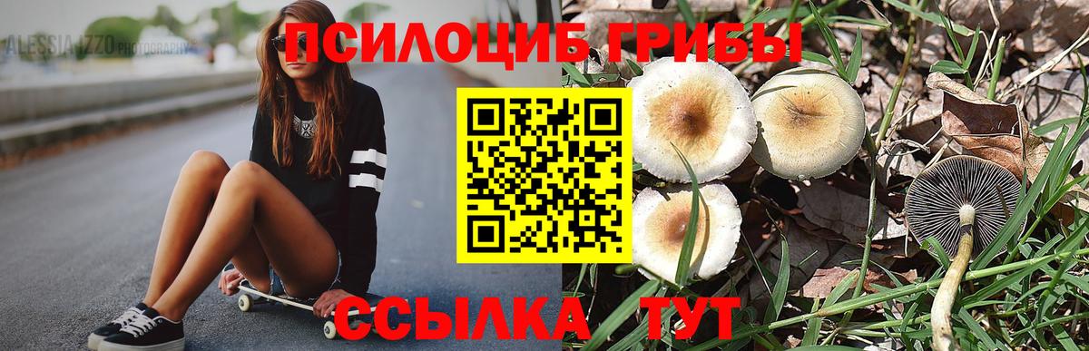 где купить наркоту  Вход с VPN  Псилоцибиновые грибы GOLDEN TEACHER  Набережные Челны  Галлюциногенные грибы Psilocybine cubensis 