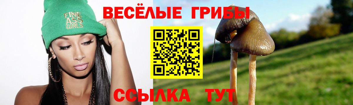 Галлюциногенные грибы MAGIC MUSHROOMS Набережные Челны